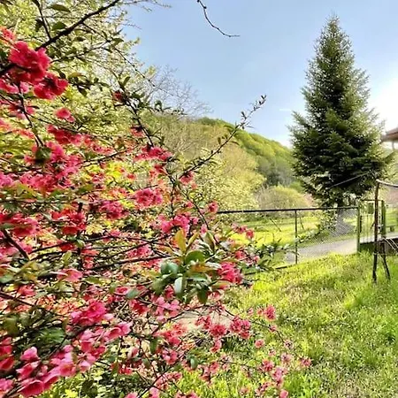 Latoria Vendeghaz Latorpusztan, A Buekk Sziveben Apartment