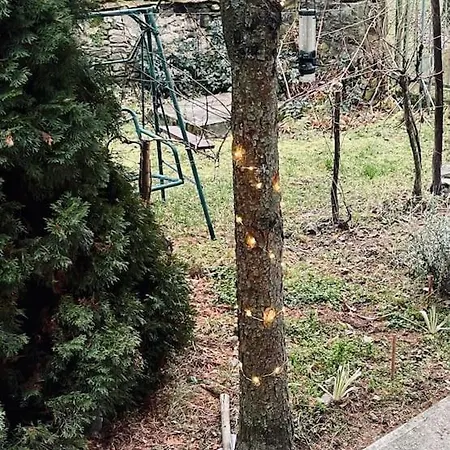 Latoria Vendeghaz Latorpusztan, A Buekk Sziveben Apartment