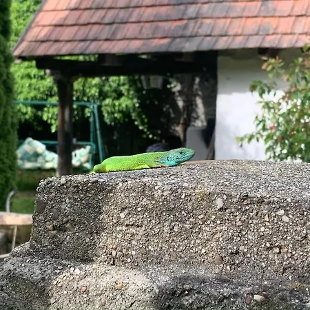 Latoria Vendeghaz Latorpusztan, A Buekk Sziveben Apartmán Saly