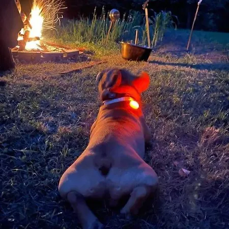 Latoria Vendeghaz Latorpusztan, A Buekk Sziveben Saly